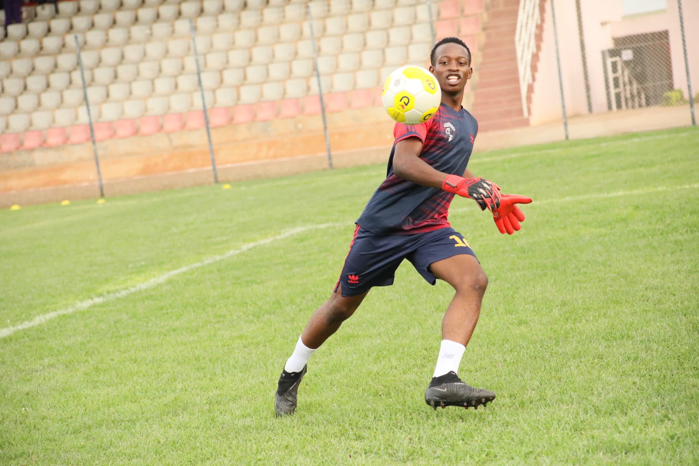 NSOSEKA MACNILAN